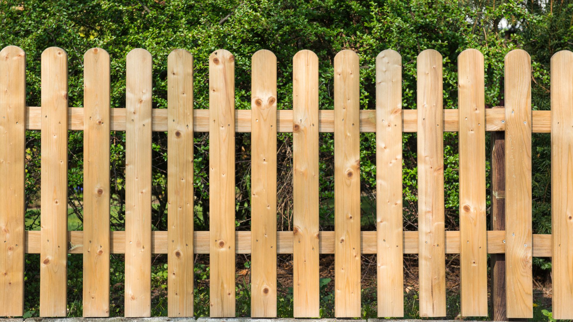 wabush fence regulations