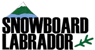 Snowboard Labrador